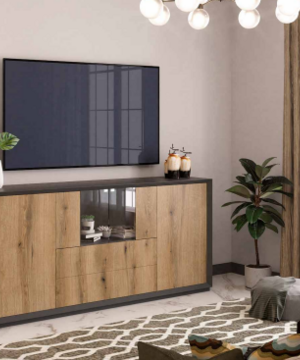 Composición salón 65